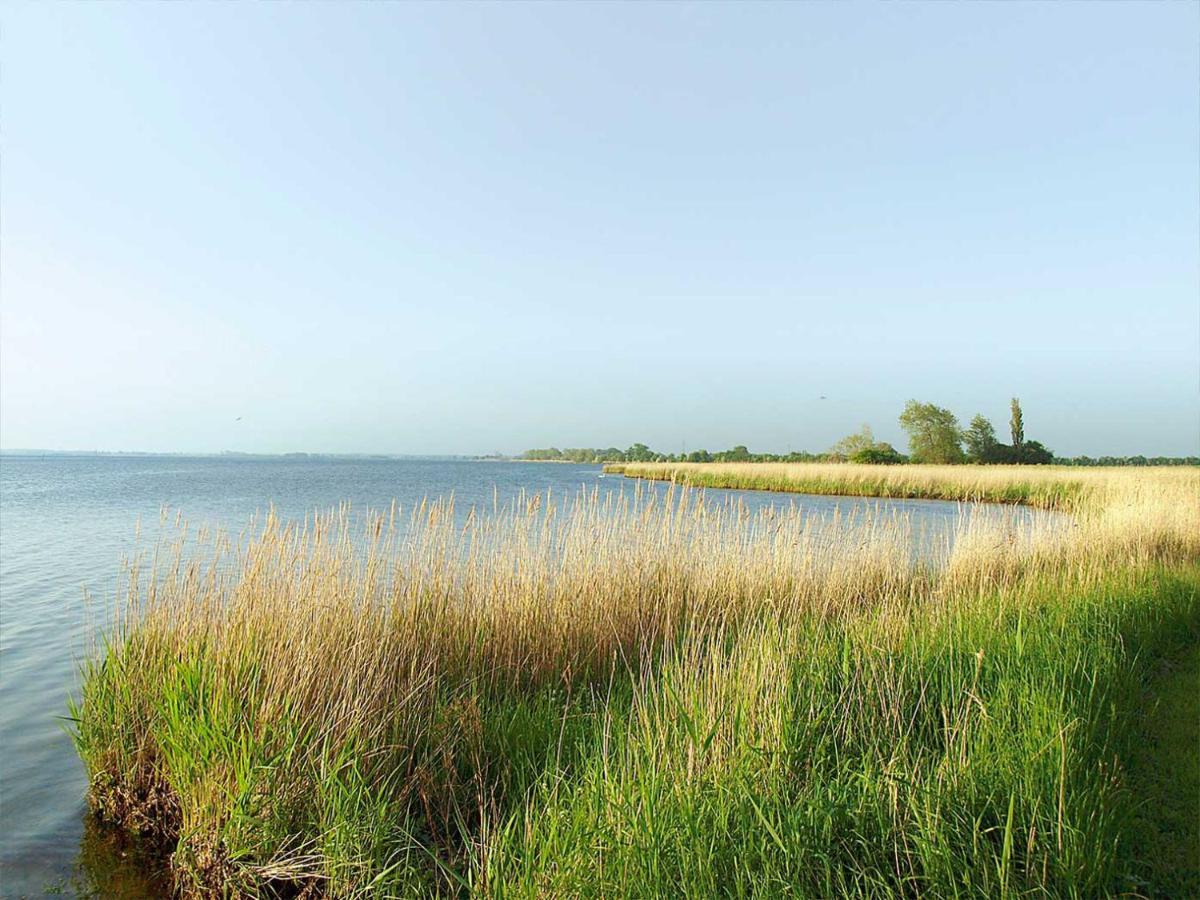 Guldborg Camping & Cottages - Famillyspace Exterior foto